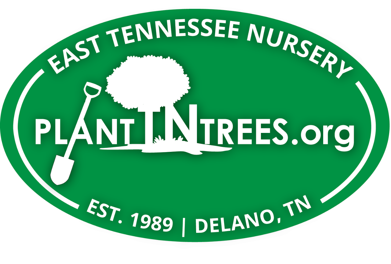 ArborDay_OvalSticker_4.4.19 Logo for East Tennessee Nursery featuring a green oval with a white border. The text 'EAST TENNESSEE NURSERY' arcs along the top, 'PLANTINTREES.org' is central with a tree graphic integrated into the letters 'IN,' and 'EST. 1989 | DELANO, TN' arcs along the bottom. A white shovel and ground line complete the design, emphasizing tree planting and horticulture.