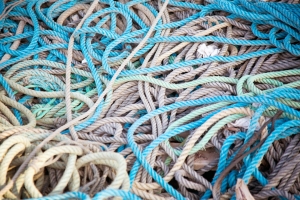 GettyImages-521136749-sized GettyImages-521136749-sized