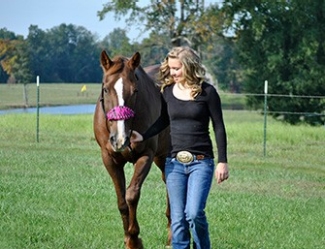 Equine Walking Equine Walking