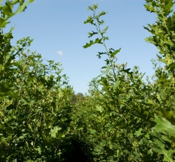 AG_TAEP_Landowners1 AG_TAEP_Landowners1