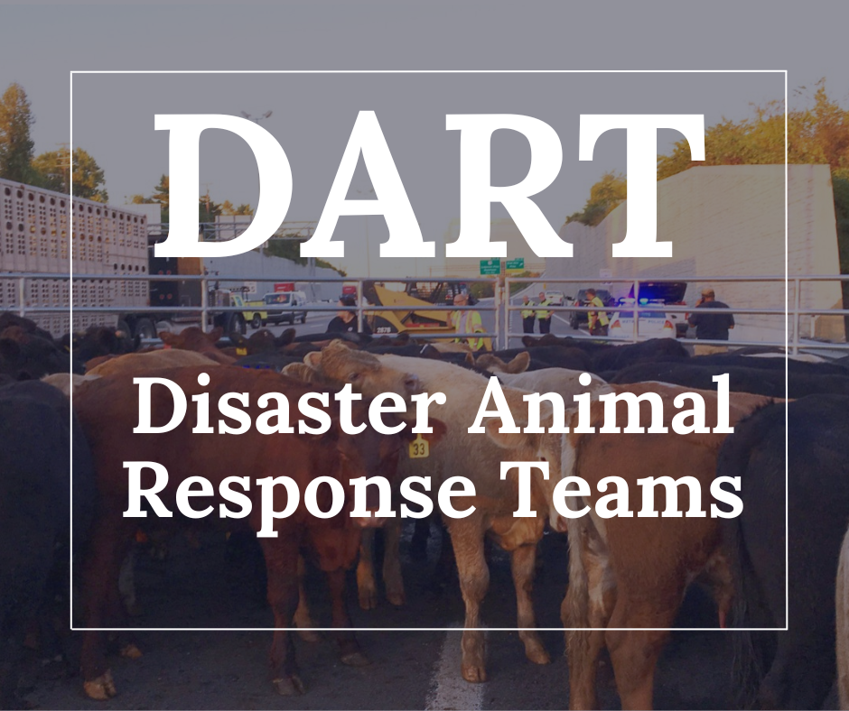 Disaster Animal Response Teams Disaster Animal Response Teams
