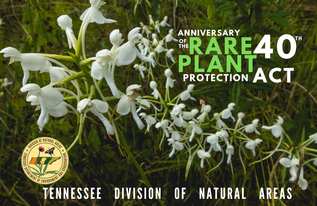 TDEC Division of Natural Areas