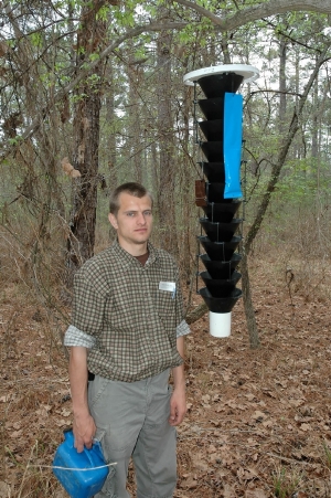 Baiting trap for Southern Pine Beetles