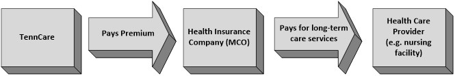 Estate Recovery Flowchart showing TennCare paying a premium to an MCO.