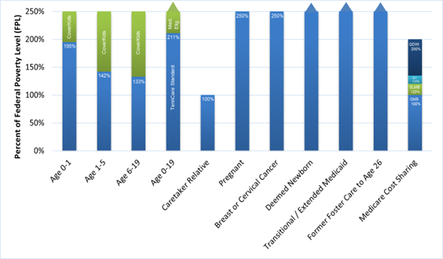 TennCare Medicaid Coverage Groups along with the Percent of the Federal Poverty Level (FPL) This chart shows the TennCare Medicaid Coverage Groups along with the Percent of the Federal Poverty Level (FPL)