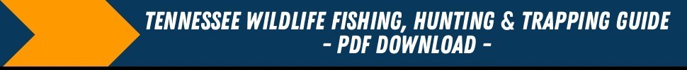 Fishing Regulations Fishing Guide and Regulations Information Banner