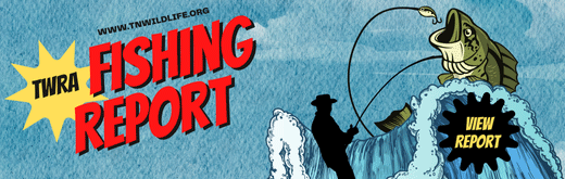 View the Weekly Fishing Forecast View the Weekly Fishing Forecast