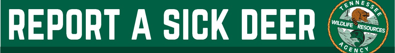 Report a Sick Deer Report a Sick Deer