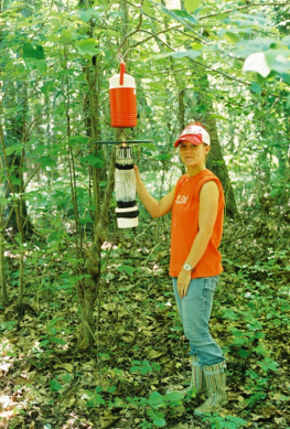 CDC light trap Person standing in a wooded area holding a mosquito surveillance trap.