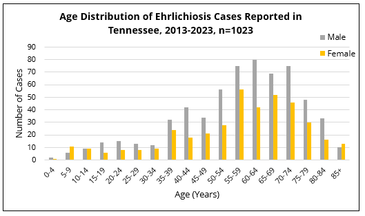 Ehrlichiosis cases by age group and reported sex Bar chart showing ehrlichiosis cases in Tennessee by age group and sex, with higher case counts among adults aged 50 to 74 years.