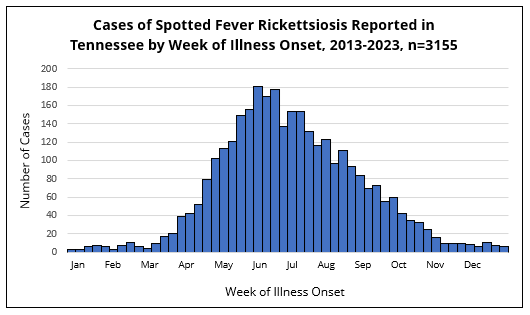 RMSF cases by onset week Histogram showing spotted fever rickettsiosis cases in Tennessee by week of illness onset, with most cases occurring in late spring and summer.