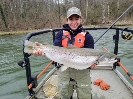 TWRA Biologist with a Brown Trout
