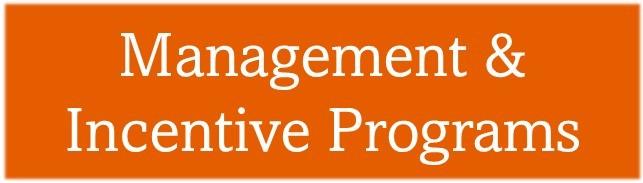 NEW Management and Incentive Programs NEW Management and Incentive Programs