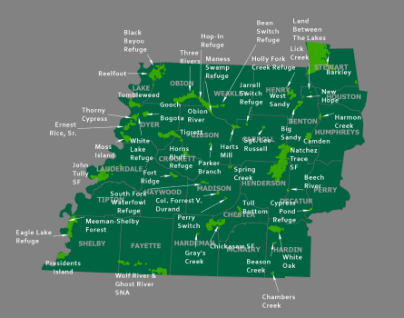West Tennessee Region 1 West Tennessee Region 1