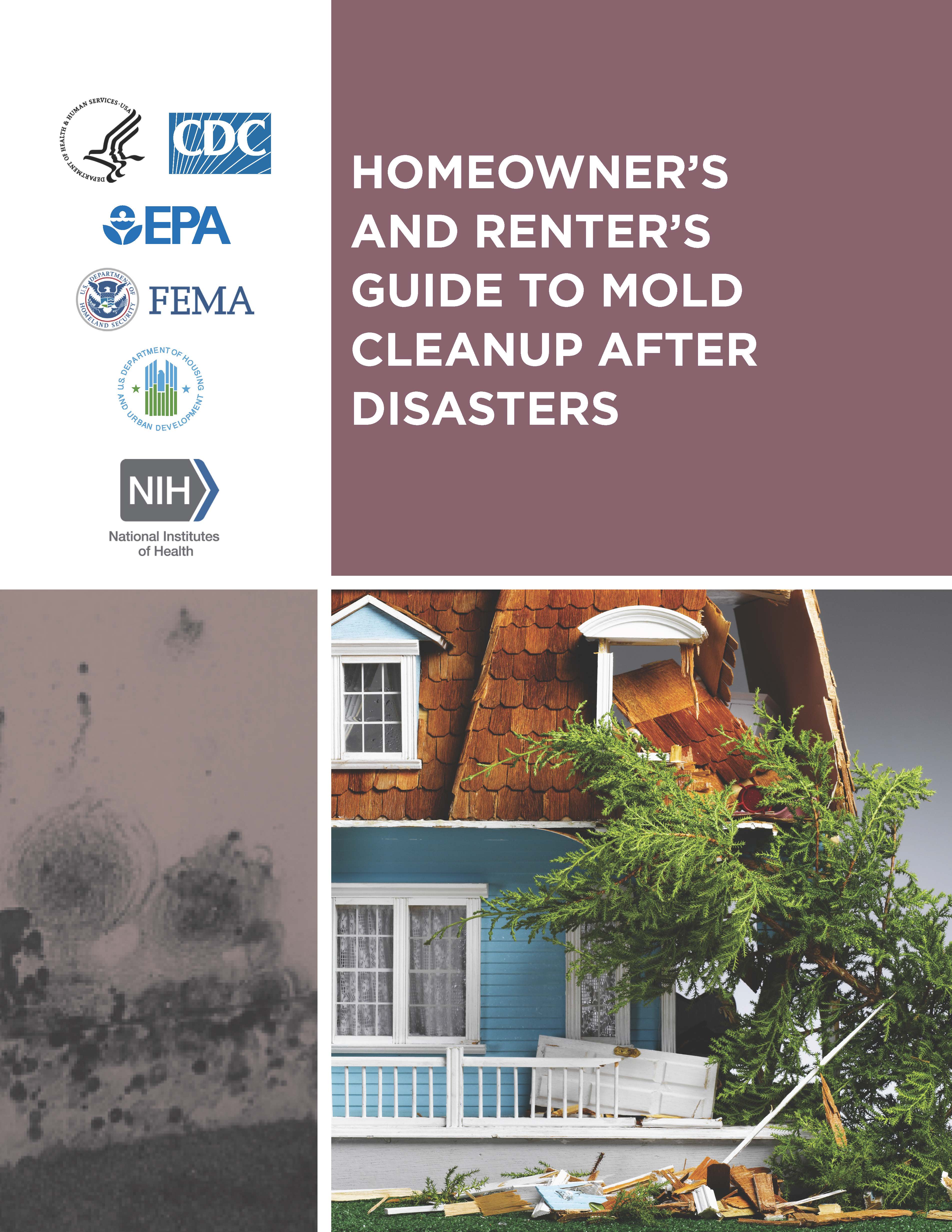 Shopping List for Cleaning Mold in Your Home After a Flood, Natural  Disasters & Severe Weather