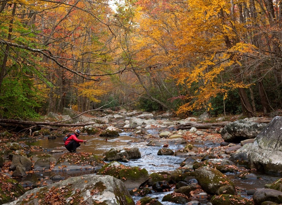 7 Best Places To See Nashville Fall Foliage This Autumn