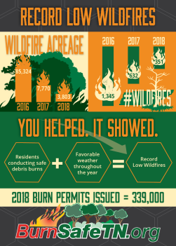 Record Low Wildfires