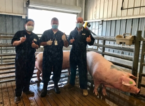 Kord Lab, USDA, and Vanderbilt working with field test for swine
