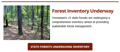 Forest Inventory Underway on Tennessee State Forests