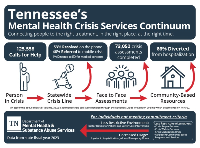 Crisis Services Infographic