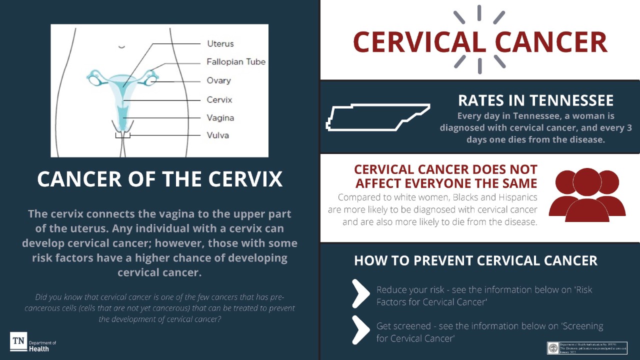 Cervical-Cancer-Screening-Infographics-Promulgated-01-2022
