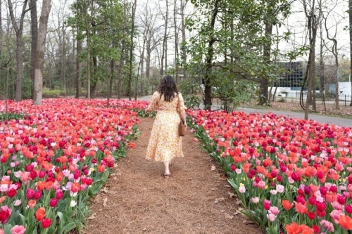 Dixon Gallery and Gardens woman walking through Dixon Gallery and Gardens in Memphis
