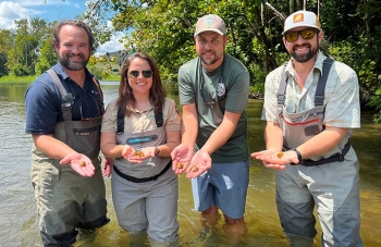 Rockshell Mussel Reintroduction