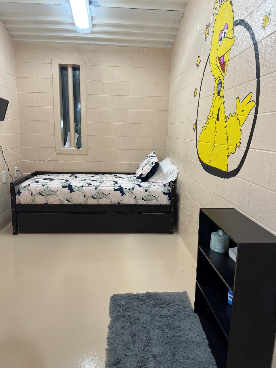 Overnight Visitation Room for Child Photo of an Overnight Child Visitation Room with Bed