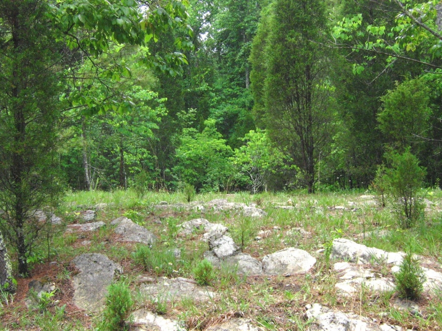 An open barren of stone and shallow soils