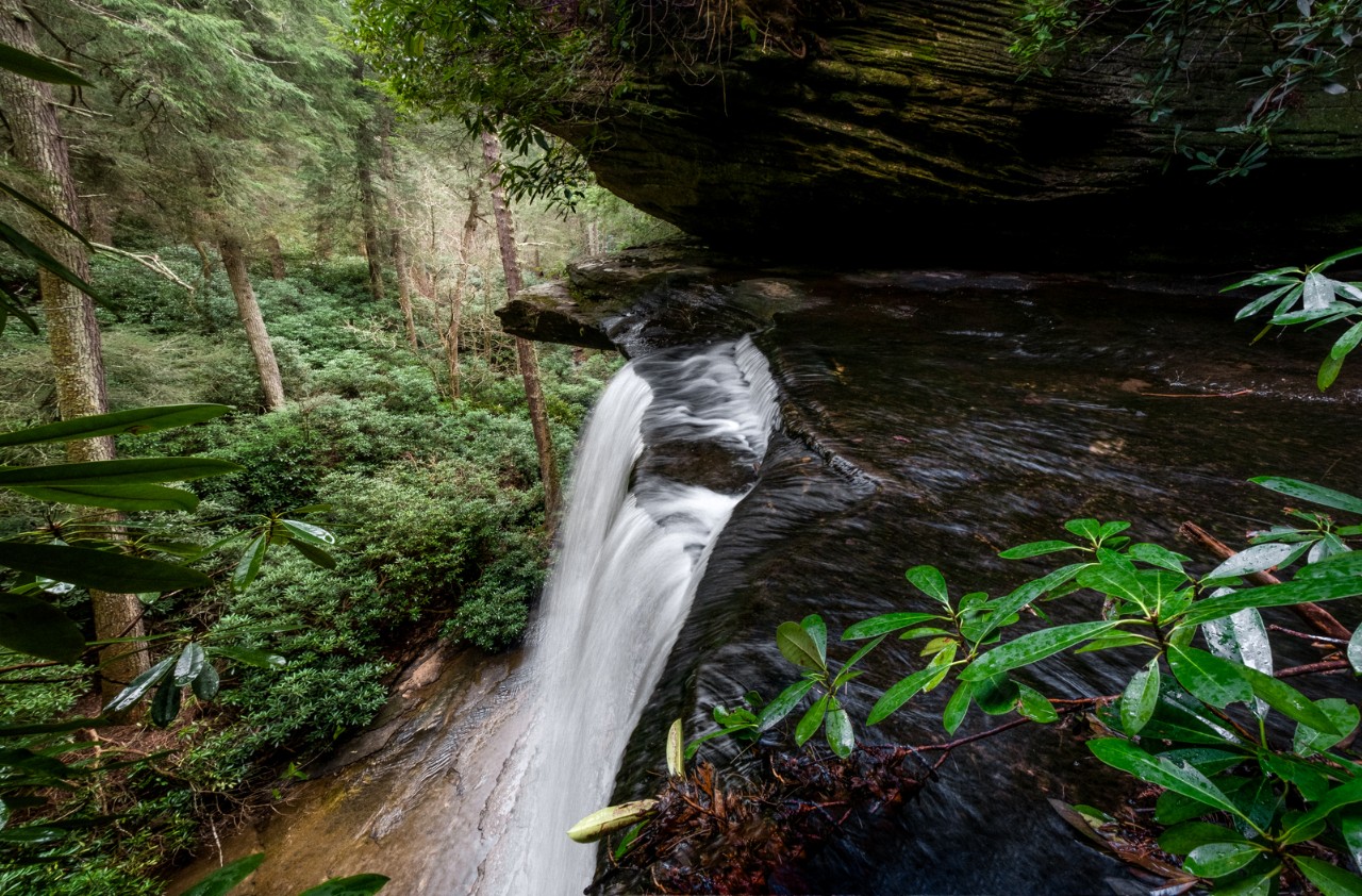 Water pours over a ledge into a stream at Colditz Cove