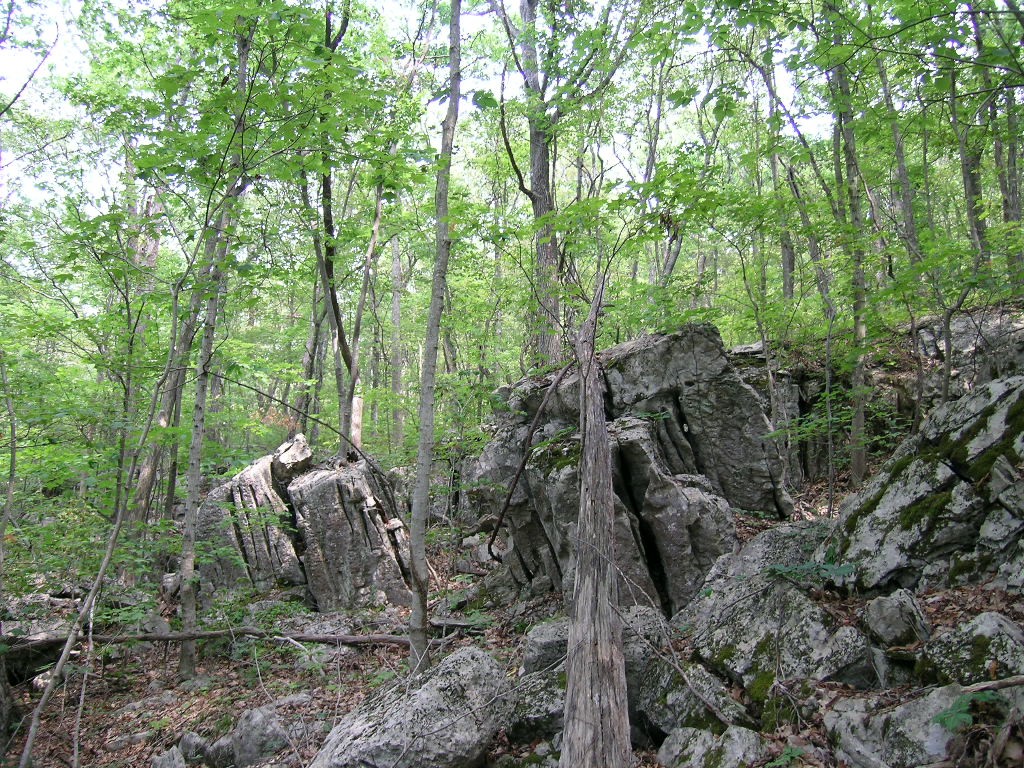 limestone boulders2 limestone boulders2