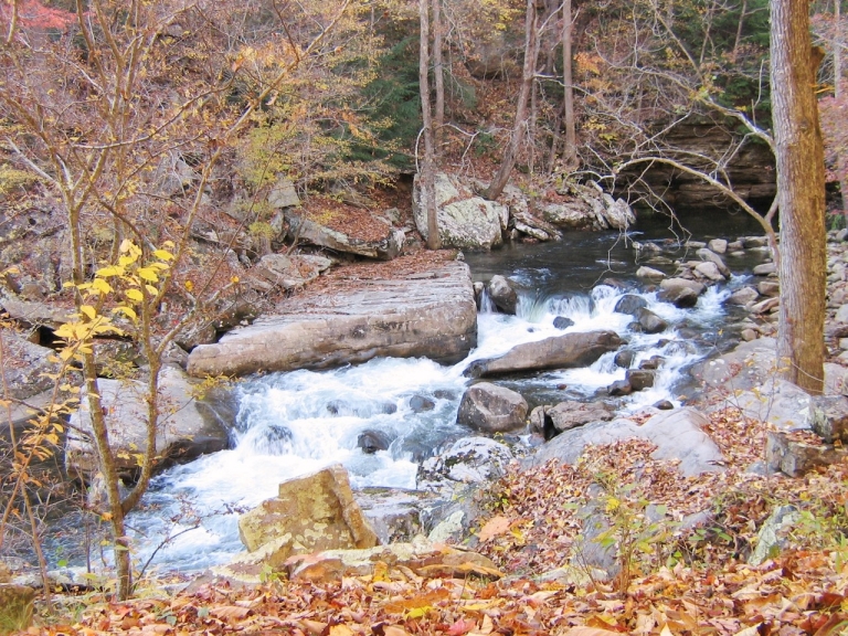 A rapid crosses boulders in a narrow stream surrounded by trees with leaves changing to orange and yellow