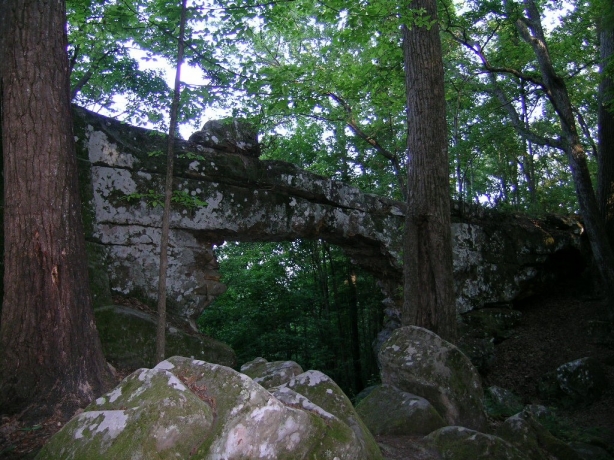 A small natural stone arch covered in moss under a tall forest canopy