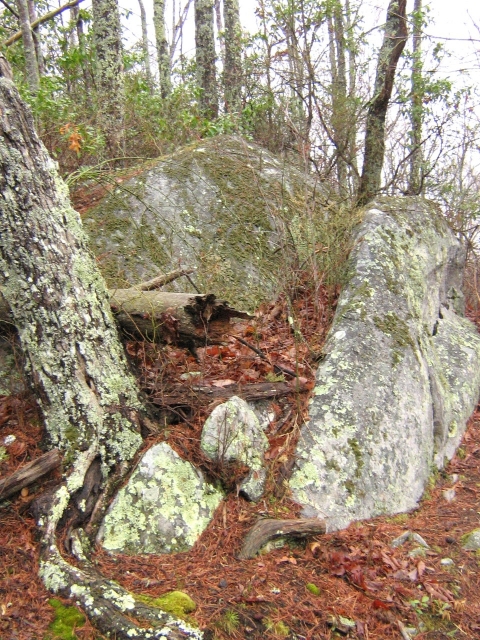 A couple boulders surrounded by the forest at Roundtop Mountain