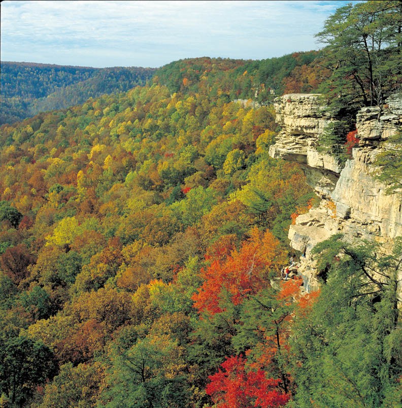Overlook of the forest during fall colors from edge of the rockwall