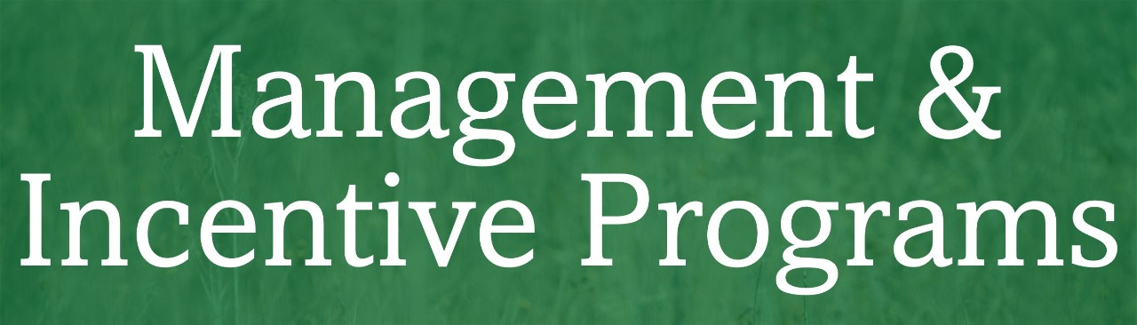 CWD Management and Incentive Programs CWD Management and Incentive Programs page